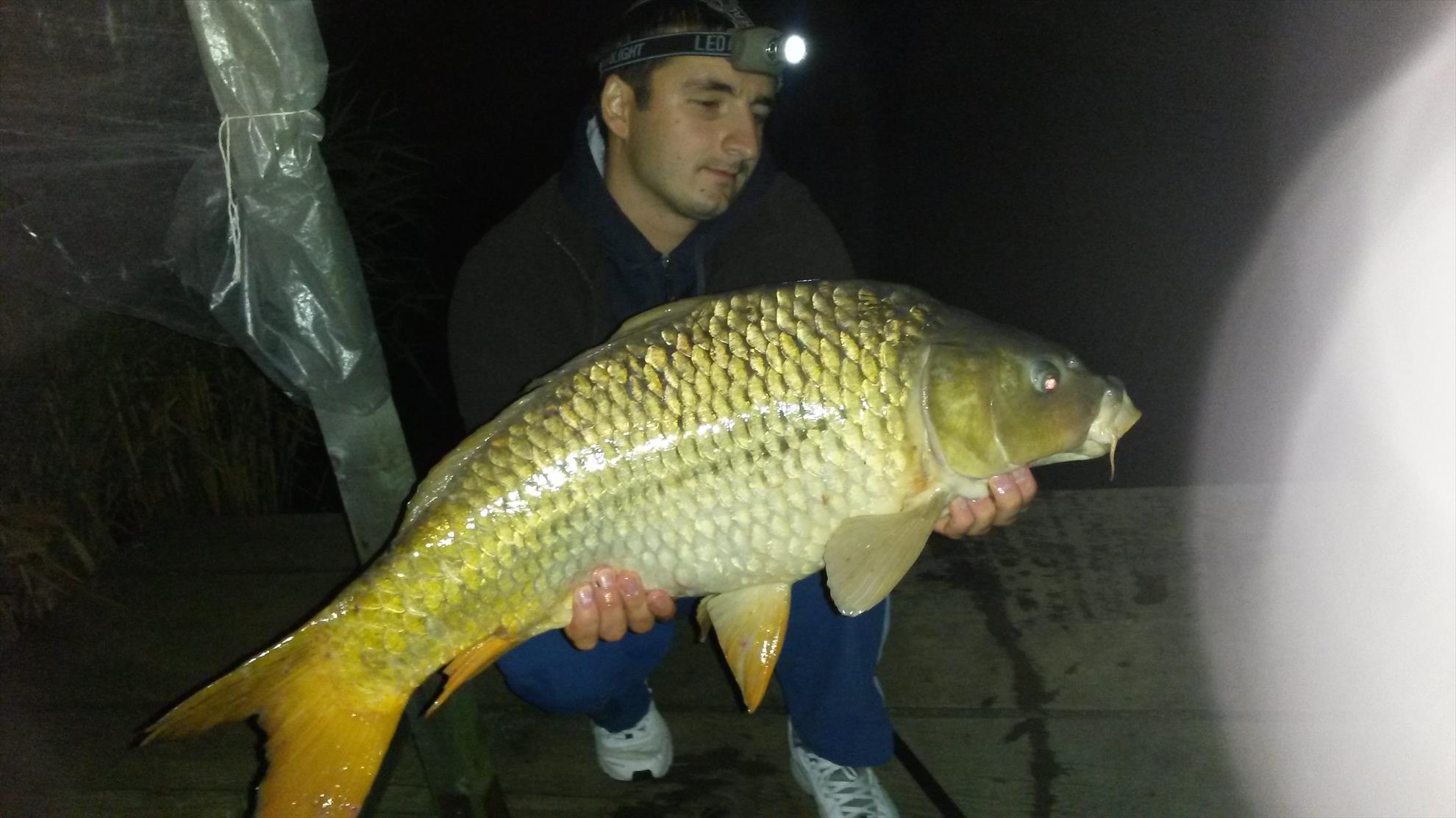 Magura 9 5 - 6 sep. - 20140906054237.jpg